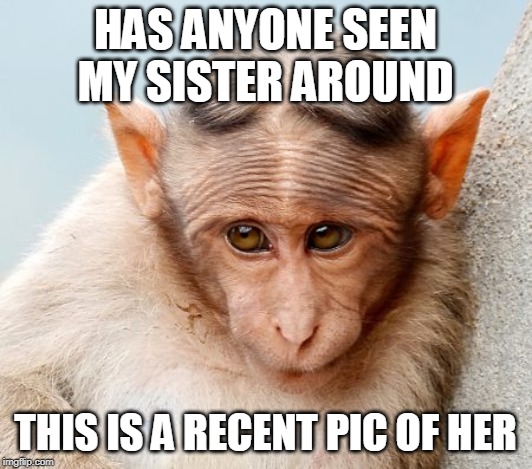 sister family | HAS ANYONE SEEN MY SISTER AROUND; THIS IS A RECENT PIC OF HER | image tagged in sister family | made w/ Imgflip meme maker