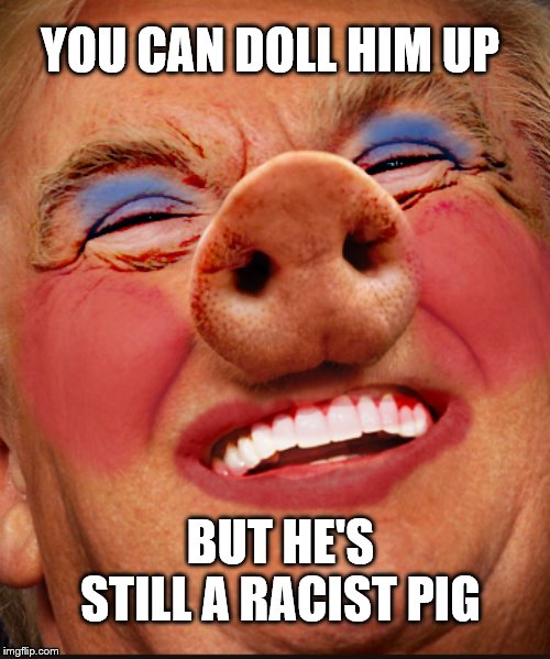 RACIST DONNY | YOU CAN DOLL HIM UP; BUT HE'S STILL A RACIST PIG | image tagged in racist,donald trump,miss piggy,impeach trump,crooked | made w/ Imgflip meme maker