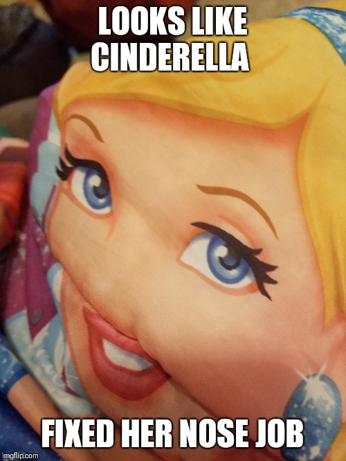 LOOKS LIKE CINDERELLA; FIXED HER NOSE JOB | image tagged in funny memes | made w/ Imgflip meme maker