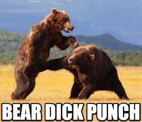 image tagged in funny,animals