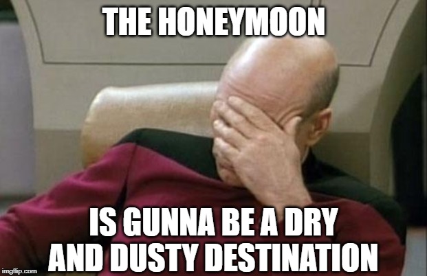 Captain Picard Facepalm Meme | THE HONEYMOON IS GUNNA BE A DRY AND DUSTY DESTINATION | image tagged in memes,captain picard facepalm | made w/ Imgflip meme maker