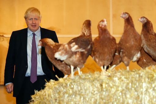 Boris and the Chickens Blank Meme Template