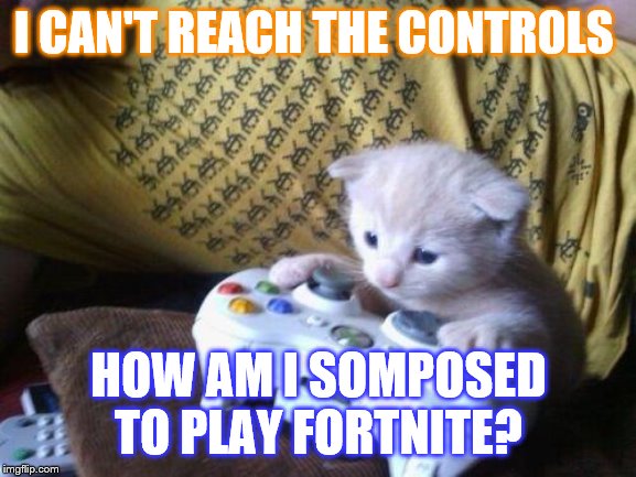 cute kitty on xbox | I CAN'T REACH THE CONTROLS; HOW AM I SOMPOSED TO PLAY FORTNITE? | image tagged in cute kitty on xbox | made w/ Imgflip meme maker