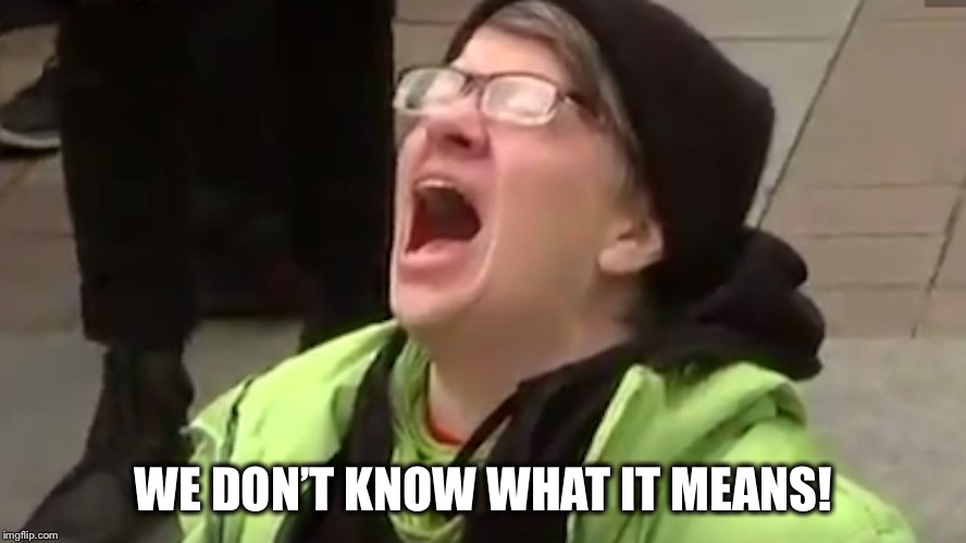 Screaming Liberal  | WE DON’T KNOW WHAT IT MEANS! | image tagged in screaming liberal | made w/ Imgflip meme maker