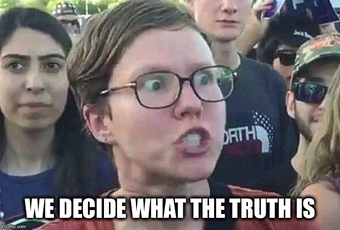 Triggered Liberal | WE DECIDE WHAT THE TRUTH IS | image tagged in triggered liberal | made w/ Imgflip meme maker