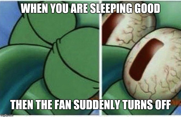 sleeping squidward | WHEN YOU ARE SLEEPING GOOD; THEN THE FAN SUDDENLY TURNS OFF | image tagged in sleeping squidward | made w/ Imgflip meme maker