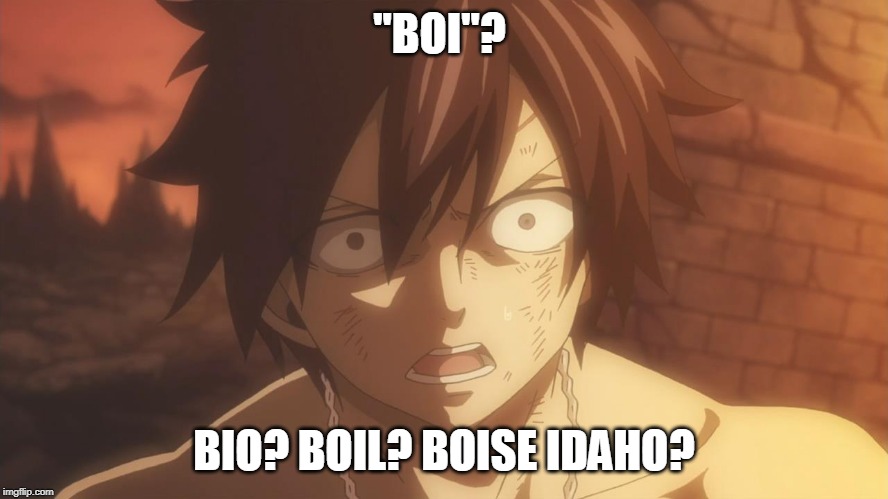 GRAY CONFUSED | "BOI"? BIO? BOIL? BOISE IDAHO? | image tagged in gray confused | made w/ Imgflip meme maker