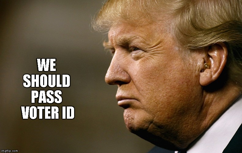 Clearcut | WE
SHOULD
PASS
 VOTER ID | image tagged in donald trump profile pic,memes,voter id,voter fraud | made w/ Imgflip meme maker