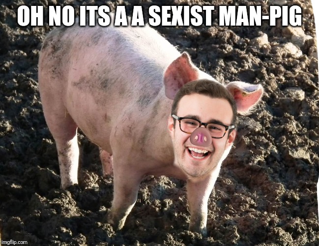 Sexist man pig | OH NO ITS A A SEXIST MAN-PIG | image tagged in sexist,man-pig,pig | made w/ Imgflip meme maker