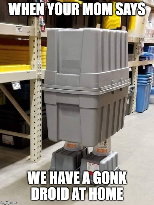 Low budget Gonk | WHEN YOUR MOM SAYS; WE HAVE A GONK DROID AT HOME | image tagged in gonk droid | made w/ Imgflip meme maker