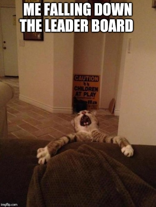 Falling Cat | ME FALLING DOWN THE LEADER BOARD | image tagged in falling cat | made w/ Imgflip meme maker