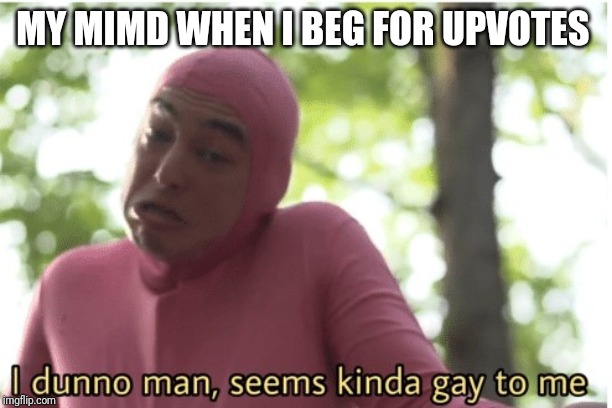 I dunno man seems kinda gay to me | MY MIMD WHEN I BEG FOR UPVOTES | image tagged in i dunno man seems kinda gay to me | made w/ Imgflip meme maker