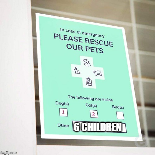 CHILDREN PETS? | 6 CHILDREN | image tagged in rescue or pets,kids,pets | made w/ Imgflip meme maker