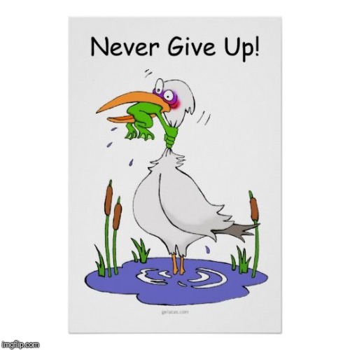 Never Give Up | image tagged in never give up | made w/ Imgflip meme maker