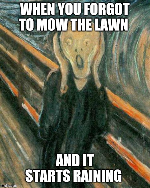 The Scream | WHEN YOU FORGOT TO MOW THE LAWN; AND IT STARTS RAINING | image tagged in the scream | made w/ Imgflip meme maker