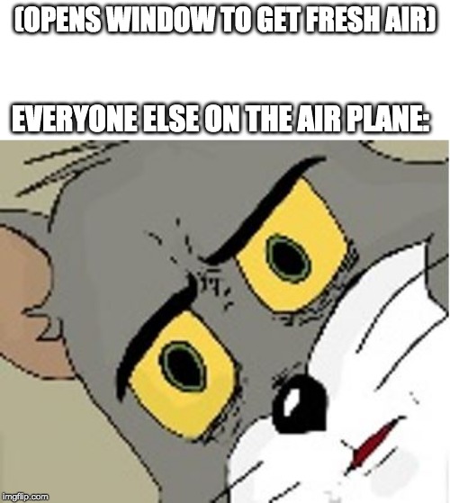 unsettled tom | (OPENS WINDOW TO GET FRESH AIR); EVERYONE ELSE ON THE AIR PLANE: | image tagged in unsettled tom | made w/ Imgflip meme maker