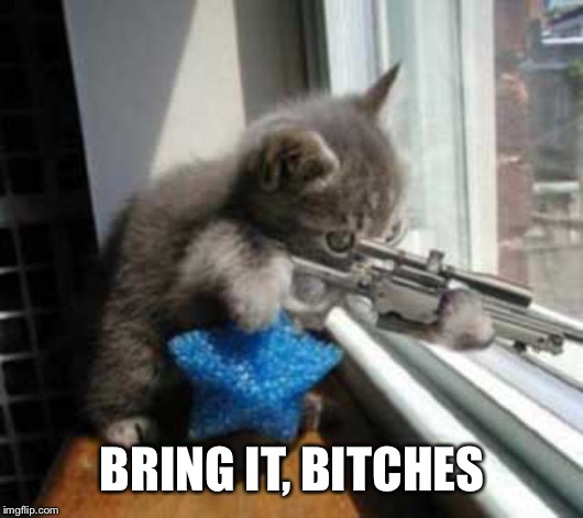 Gun cat  | BRING IT, B**CHES | image tagged in gun cat | made w/ Imgflip meme maker