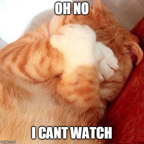 CAT CANT LOOK | OH NO I CANT WATCH | image tagged in cat cant look | made w/ Imgflip meme maker