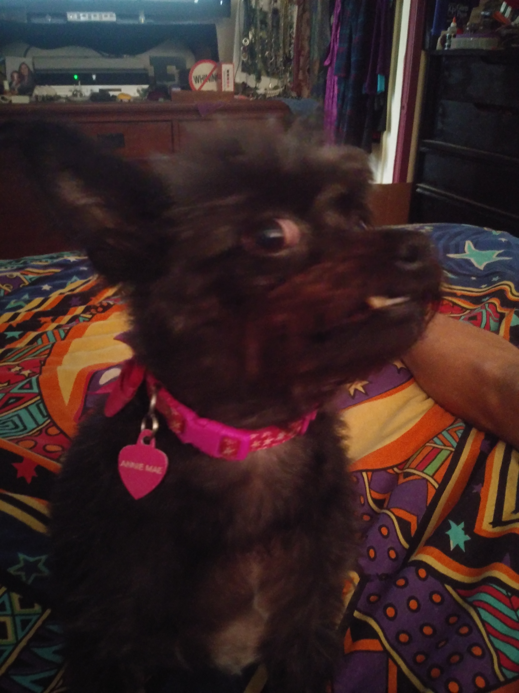 Annie Mae Blank Meme Template