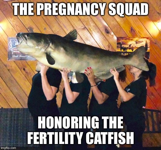 When half the staff is preggers | THE PREGNANCY SQUAD; HONORING THE FERTILITY CATFISH | image tagged in pregnant,mothers,waitress,memes | made w/ Imgflip meme maker