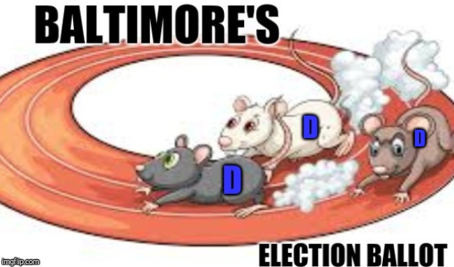 Baltimore's ELECTION BALLOT Preview !!!!! | D | image tagged in funny,memes,gifs | made w/ Imgflip meme maker