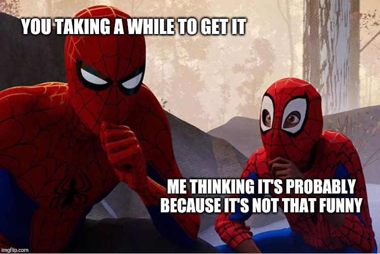 spiderman and kid | YOU TAKING A WHILE TO GET IT ME THINKING IT'S PROBABLY BECAUSE IT'S NOT THAT FUNNY | image tagged in spiderman and kid | made w/ Imgflip meme maker