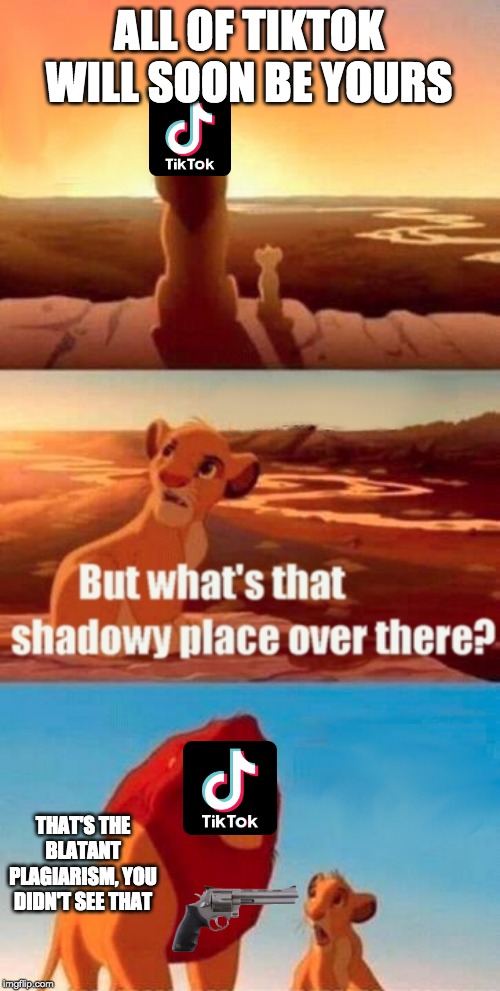 Simba Shadowy Place Meme | ALL OF TIKTOK WILL SOON BE YOURS; THAT'S THE BLATANT PLAGIARISM, YOU DIDN'T SEE THAT | image tagged in memes,simba shadowy place | made w/ Imgflip meme maker