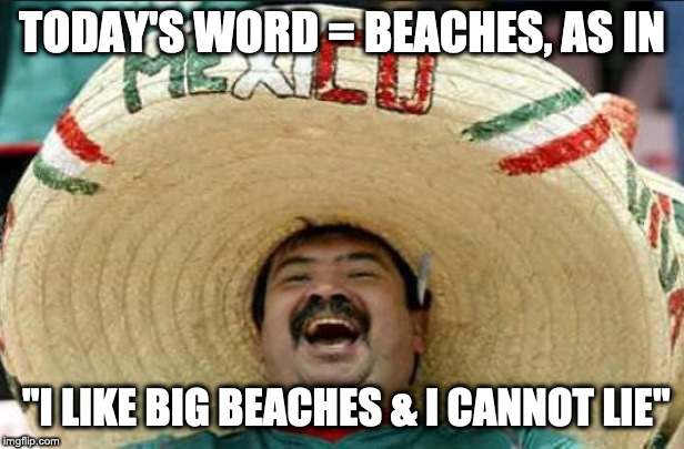 mexican word of the day | TODAY'S WORD = BEACHES, AS IN; "I LIKE BIG BEACHES & I CANNOT LIE" | image tagged in mexican word of the day | made w/ Imgflip meme maker