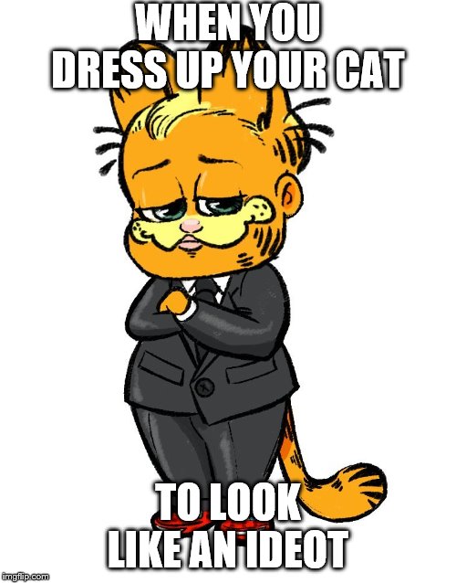 WHEN YOU DRESS UP YOUR CAT; TO LOOK LIKE AN IDEOT | made w/ Imgflip meme maker