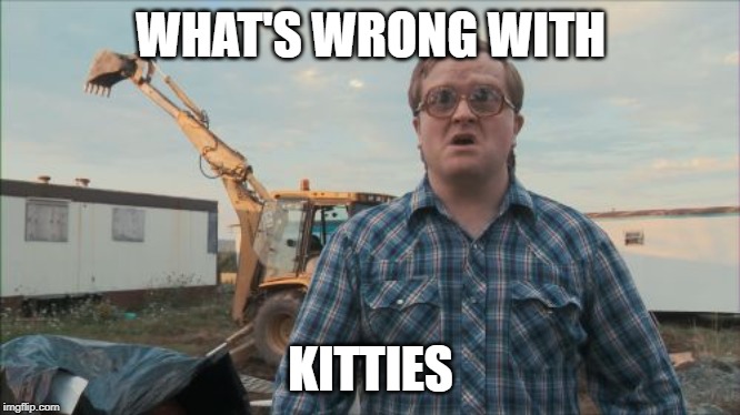 Trailer Park Boys Bubbles Meme | WHAT'S WRONG WITH KITTIES | image tagged in memes,trailer park boys bubbles | made w/ Imgflip meme maker