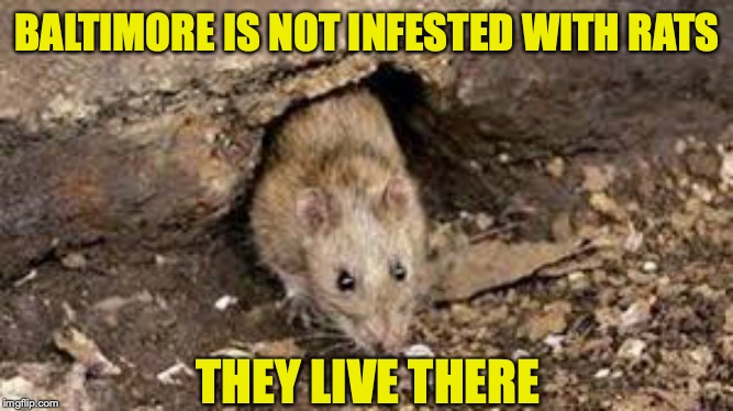 In Defense of Elijah Cummings | BALTIMORE IS NOT INFESTED WITH RATS; THEY LIVE THERE | image tagged in baltimore,rats,language,politics | made w/ Imgflip meme maker