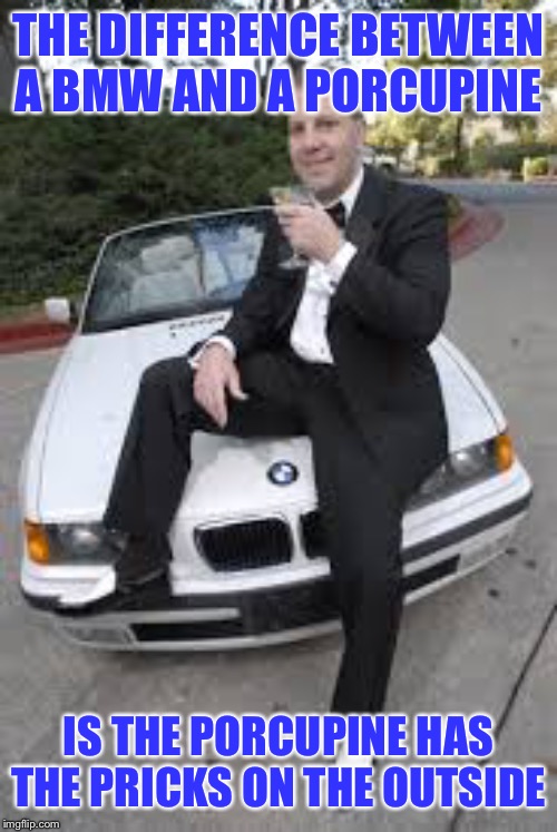BMW douchebag | THE DIFFERENCE BETWEEN A BMW AND A PORCUPINE; IS THE PORCUPINE HAS THE PRICKS ON THE OUTSIDE | image tagged in bmw douchebag | made w/ Imgflip meme maker