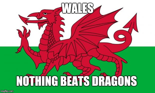 Wales | WALES NOTHING BEATS DRAGONS | image tagged in wales | made w/ Imgflip meme maker
