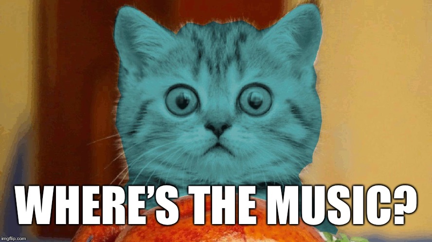 RayCat surprised | WHERE’S THE MUSIC? | image tagged in raycat surprised | made w/ Imgflip meme maker