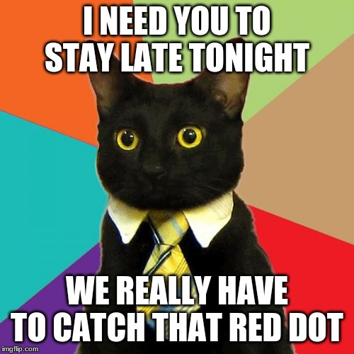 Red Dots!!! | I NEED YOU TO STAY LATE TONIGHT; WE REALLY HAVE TO CATCH THAT RED DOT | image tagged in memes,business cat | made w/ Imgflip meme maker