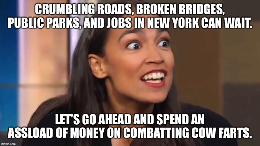 Priorities AOC. Priorities. | CRUMBLING ROADS, BROKEN BRIDGES, PUBLIC PARKS, AND JOBS IN NEW YORK CAN WAIT. LET’S GO AHEAD AND SPEND AN ASSLOAD OF MONEY ON COMBATTING COW FARTS. | image tagged in crazy aoc,memes,fart jokes,road,money,politics | made w/ Imgflip meme maker