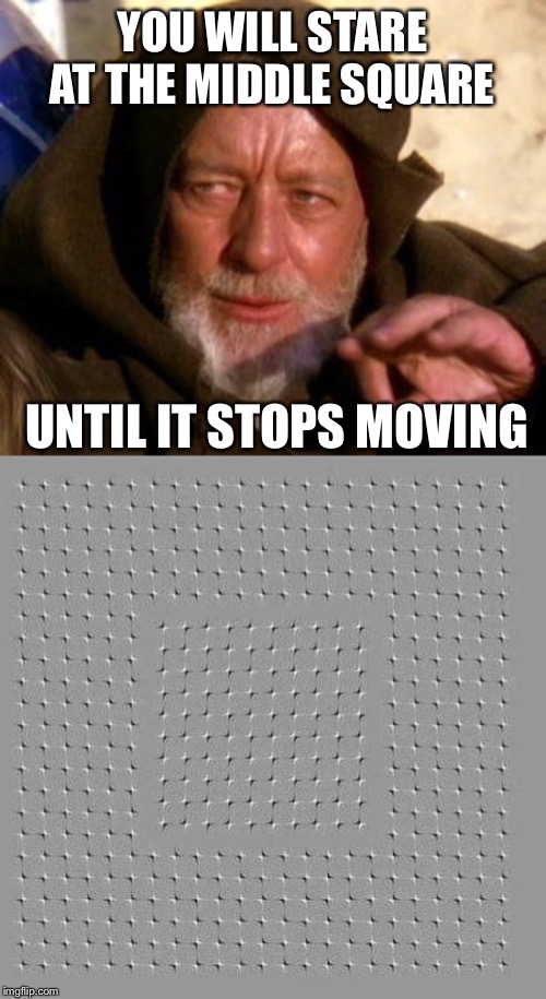 Stare at the Square | YOU WILL STARE AT THE MIDDLE SQUARE; UNTIL IT STOPS MOVING | image tagged in obi wan kenobi jedi mind trick,optical illusion,memes | made w/ Imgflip meme maker