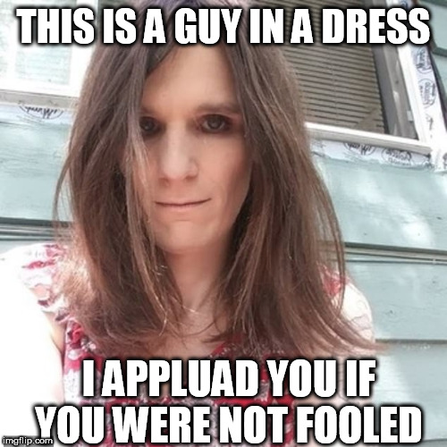 a guy | THIS IS A GUY IN A DRESS; I APPLUAD YOU IF YOU WERE NOT FOOLED | image tagged in a guy | made w/ Imgflip meme maker