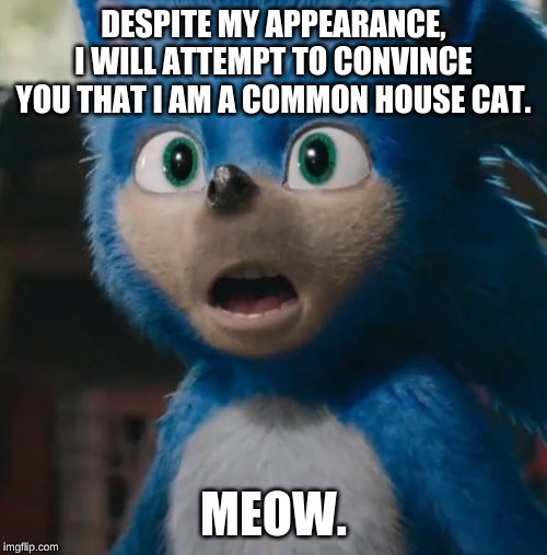 overcomplicated | DESPITE MY APPEARANCE, I WILL ATTEMPT TO CONVINCE YOU THAT I AM A COMMON HOUSE CAT. MEOW. | image tagged in sonic movie,memes,sonic the hedgehog,dank memes,cat,meow | made w/ Imgflip meme maker