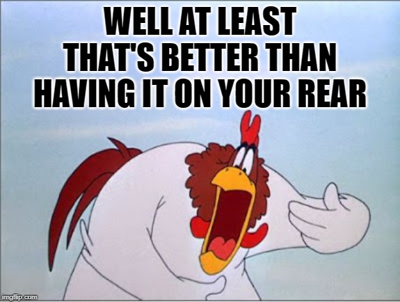 foghorn | WELL AT LEAST THAT'S BETTER THAN HAVING IT ON YOUR REAR | image tagged in foghorn | made w/ Imgflip meme maker