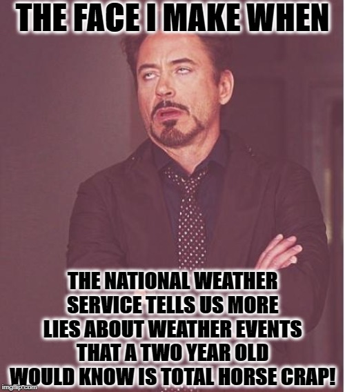 Face You Make Robert Downey Jr Meme | THE FACE I MAKE WHEN; THE NATIONAL WEATHER SERVICE TELLS US MORE LIES ABOUT WEATHER EVENTS THAT A TWO YEAR OLD WOULD KNOW IS TOTAL HORSE CRAP! | image tagged in memes,face you make robert downey jr | made w/ Imgflip meme maker