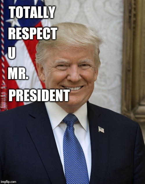 Donald Trump | TOTALLY; RESPECT; U; MR. PRESIDENT | image tagged in donald trump | made w/ Imgflip meme maker