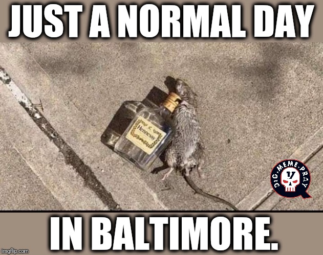 Bring me the Hennessy. | JUST A NORMAL DAY; IN BALTIMORE. | image tagged in you're drunk,rats,baltimore,stupid liberals,democrat debate | made w/ Imgflip meme maker
