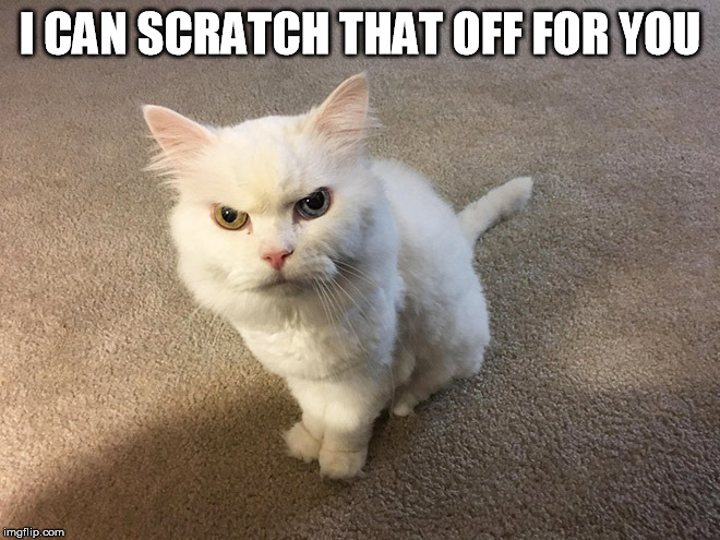 hate cat | I CAN SCRATCH THAT OFF FOR YOU | image tagged in hate cat | made w/ Imgflip meme maker