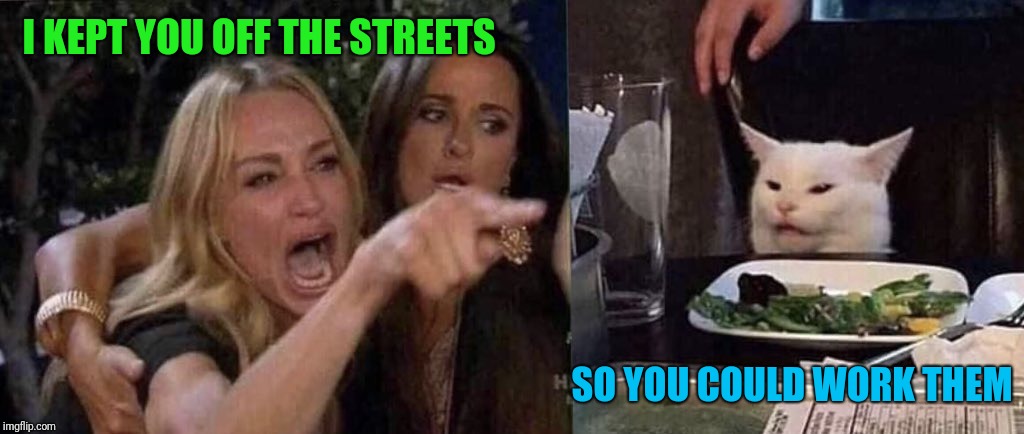 Cat Fight | I KEPT YOU OFF THE STREETS; SO YOU COULD WORK THEM | image tagged in woman yelling at cat,whores | made w/ Imgflip meme maker