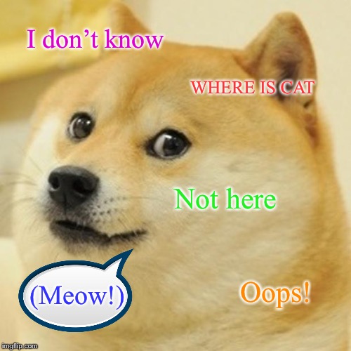 Doge | I don’t know; WHERE IS CAT; Not here; Oops! (Meow!) | image tagged in memes,doge | made w/ Imgflip meme maker