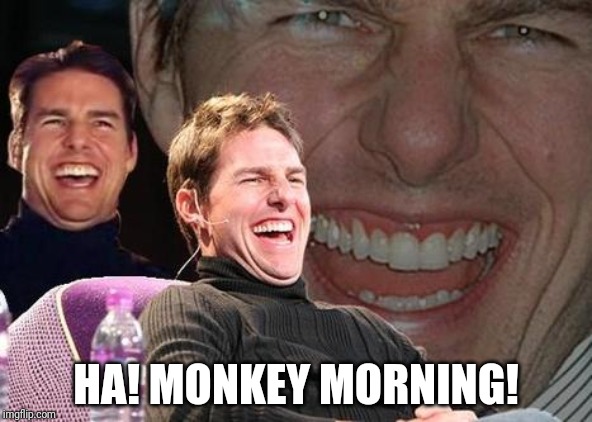 Tom Cruise laugh | HA! MONKEY MORNING! | image tagged in tom cruise laugh | made w/ Imgflip meme maker