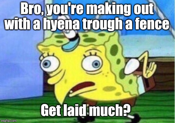 Mocking Spongebob Meme | Bro, you're making out with a hyena trough a fence Get laid much? | image tagged in memes,mocking spongebob | made w/ Imgflip meme maker