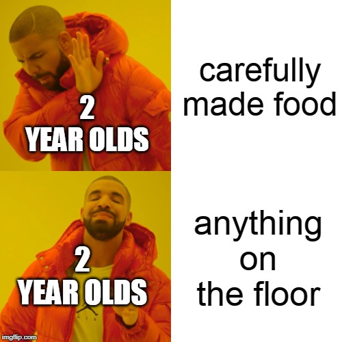 Drake Hotline Bling | carefully made food; 2 YEAR OLDS; anything on the floor; 2 YEAR OLDS | image tagged in memes,drake hotline bling | made w/ Imgflip meme maker