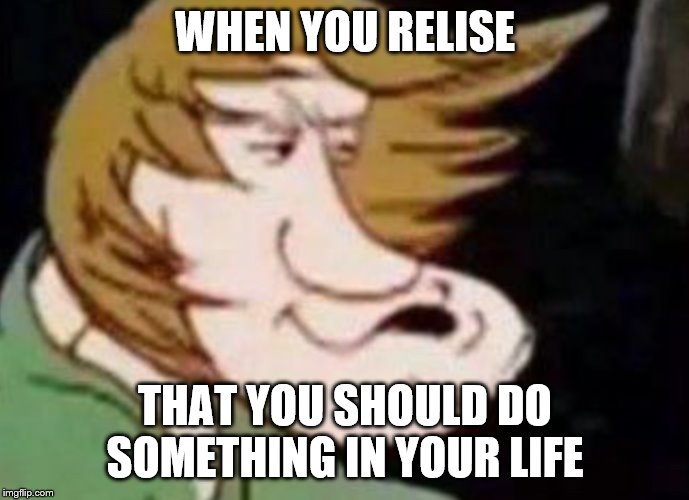 Dank Shaggy | WHEN YOU RELISE; THAT YOU SHOULD DO SOMETHING IN YOUR LIFE | image tagged in dank shaggy | made w/ Imgflip meme maker